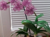 orchidej z korálků
