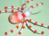 Oranžový pavouček