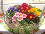 Jarní květinový košík