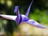 létající origami